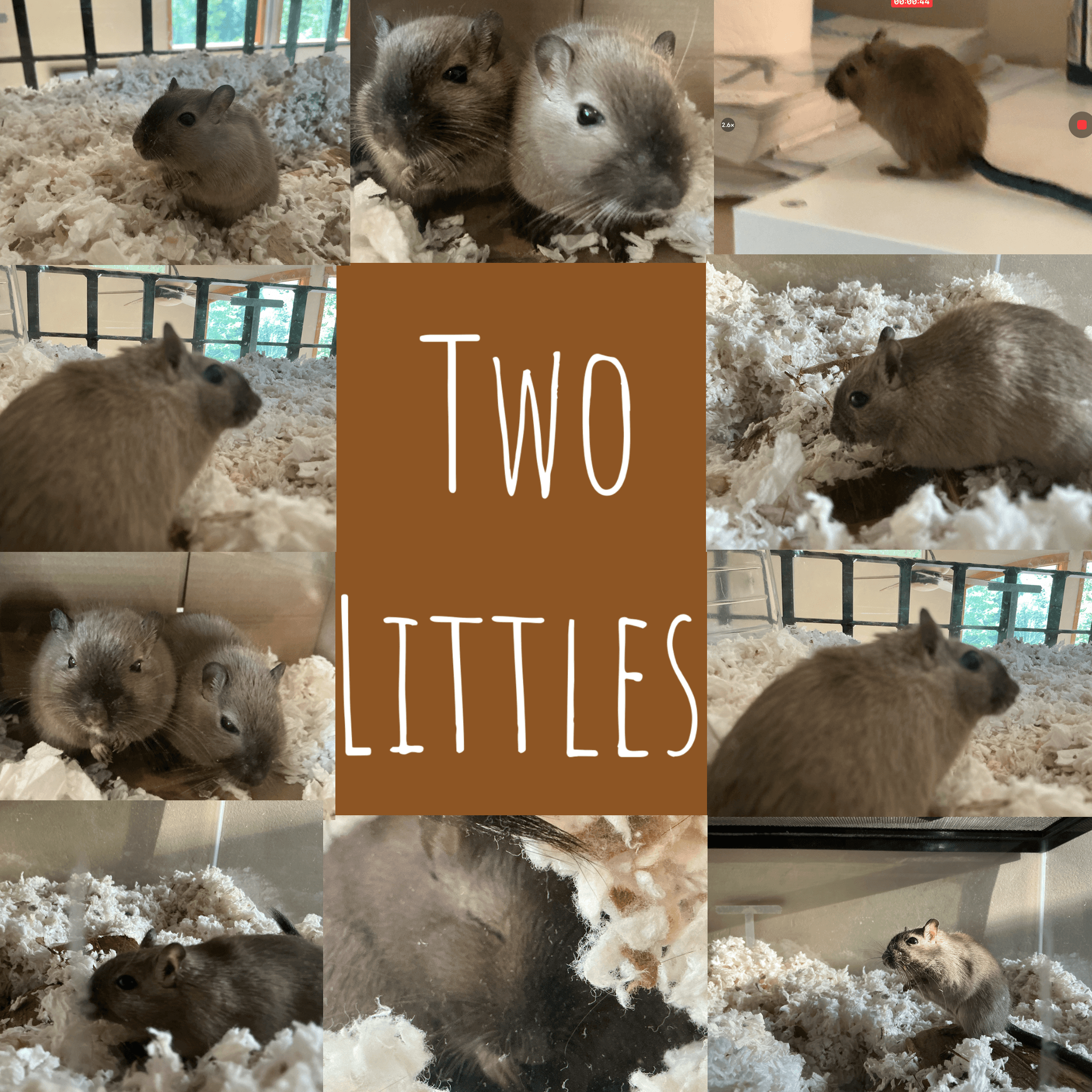 Two Littles cover art